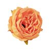 Peony Silk Flower Head, 5.5cm - Yellow