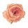 Peony Silk Flower Head, 5.5cm - Champagne