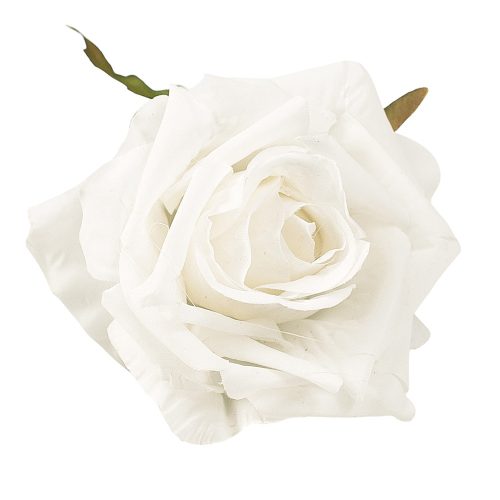 Velvet Rose Head, 8cm - White