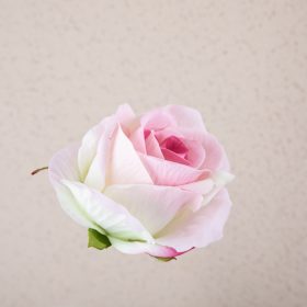 Bársony rózsafej, 8cm - Rose pink