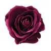 Velvet Rose Head, 8cm - Burgundy