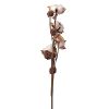 Cotton Decorative Branch with Pinecones, 38.5cm Tall