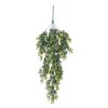 Hanging Eucalyptus Artificial Plant, 79cm Long