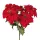 Poinsettia Bouquet, 5 Stems, Height: 37cm, Flower Head Diameter: 13.5cm