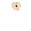 Gerbera Silk Flower Stem, Height: 55cm, Flower Head Diameter: 10cm - Beige White