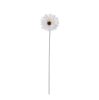 Gerbera Silk Flower Stem, Height: 55cm, Flower Head Diameter: 10cm - White