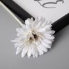 Gerbera Silk Flower Stem, Height: 55cm, Flower Head Diameter: 10cm - White