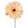 Gerbera Silk Flower Stem, Height: 55cm, Flower Head Diameter: 10cm - Peach