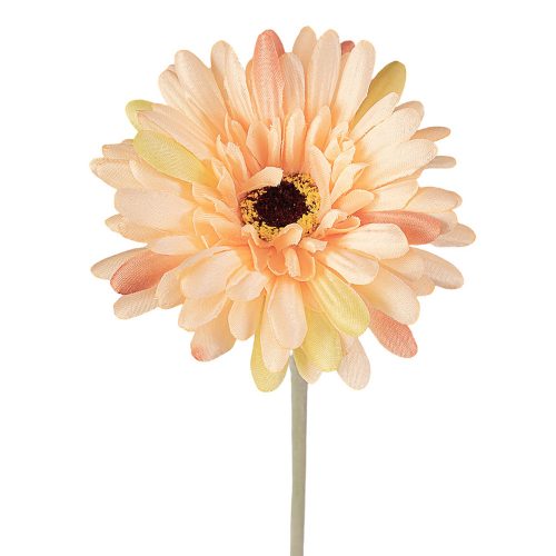 Gerbera Silk Flower Stem, Height: 55cm, Flower Head Diameter: 10cm - Peach