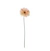 Gerbera Silk Flower Stem, Height: 55cm, Flower Head Diameter: 10cm - Peach