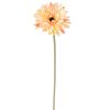 Gerbera Silk Flower Stem, Height: 55cm, Flower Head Diameter: 10cm - Peach