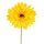 Gerbera Silk Flower Stem, Height: 55cm, Flower Head Diameter: 10cm - Yellow