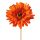 Gerbera Silk Flower Stem, Height: 55cm, Flower Head Diameter: 10cm - Dark Orange