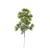 Cypress Bush, Height: 34cm