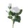 Velvety Silk Rose Branch, Height: 36cm - Ecru