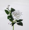 Velvety Silk Rose Branch, Height: 36cm - Ecru