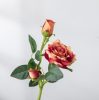 Velvety Silk Rose Branch, Height: 36cm - Orange