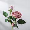 Velvety Silk Rose Branch, Height: 36cm - Pink