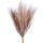 Pampas Grass Bundle with Astilbe, Height: 55cm - Brown