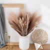 Pampas Grass Bundle with Astilbe, Height: 55cm - Brown