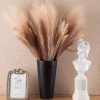 Pampas Grass Bundle with Astilbe, Height: 55cm - Brown