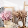 Pampas Grass Bundle with Astilbe, Height: 55cm - Brown