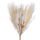 Pampas Grass Bundle with Astilbe, Height: 55cm - Ecru