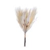 Pampas Grass Bundle with Astilbe, Height: 55cm - Ecru