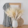 Pampas Grass Bundle with Astilbe, Height: 55cm - Ecru