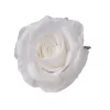 Rose Silk Flower Head, 10cm - White