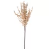 Eukaliptusz ág, 76cm magas - Bézs