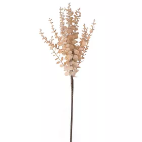Eukaliptusz ág, 76cm magas - Bézs