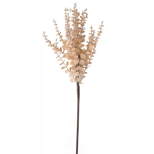 Eukaliptusz ág, 76cm magas - Bézs