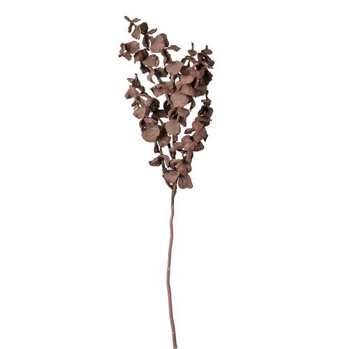 Eukaliptusz ág, 44cm magas - Sötét barna