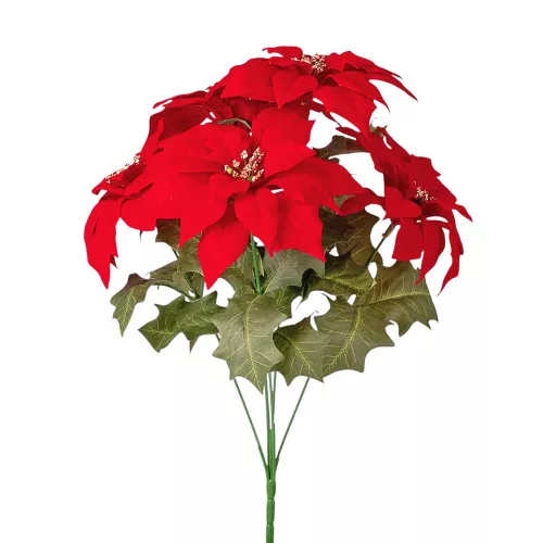 Mikulásvirág csokor, 36cm magas - Piros
