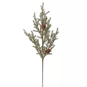 Kis tobozos fenyőág, 49cm magas - Zöld