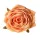 Rose Silk Flower Head, 9cm - Orange