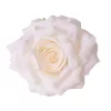 Rózsa selyemvirág fej, 8cm - Ekrü