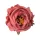 Peony Silk Flower Head, 10cm - Dark Pink
