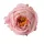 Peony Silk Flower Head, 10cm - Light Pink