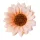 Sunflower Silk Flower Head, 10cm - Champagne