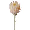 Protea selyemvirág szál, 60.5cm magas - Pezsgő