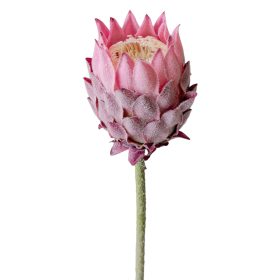 Protea selyemvirág szál, 60.5cm magas - Lila