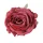 Rose Silk Flower Head, 9cm - Burgundy