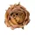 Rose Silk Flower Head, 9cm - Coffee