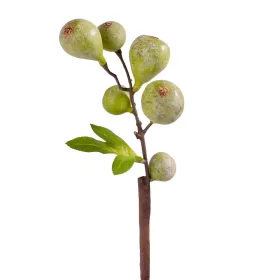 Füge ág, 39cm magas - Zöld