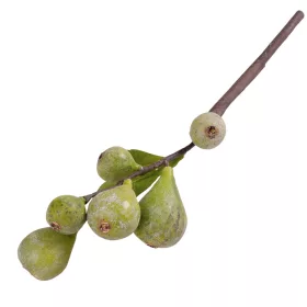 Füge ág, 39cm magas - Zöld