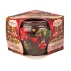 "Season of Joy" Fragrance Candle