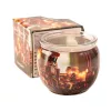 Festive Spark Jar Candle