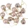 12-piece 2.5cm Christmas Ball Set - Champagne